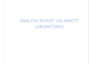 write strategic business reports, research or analysis for startups